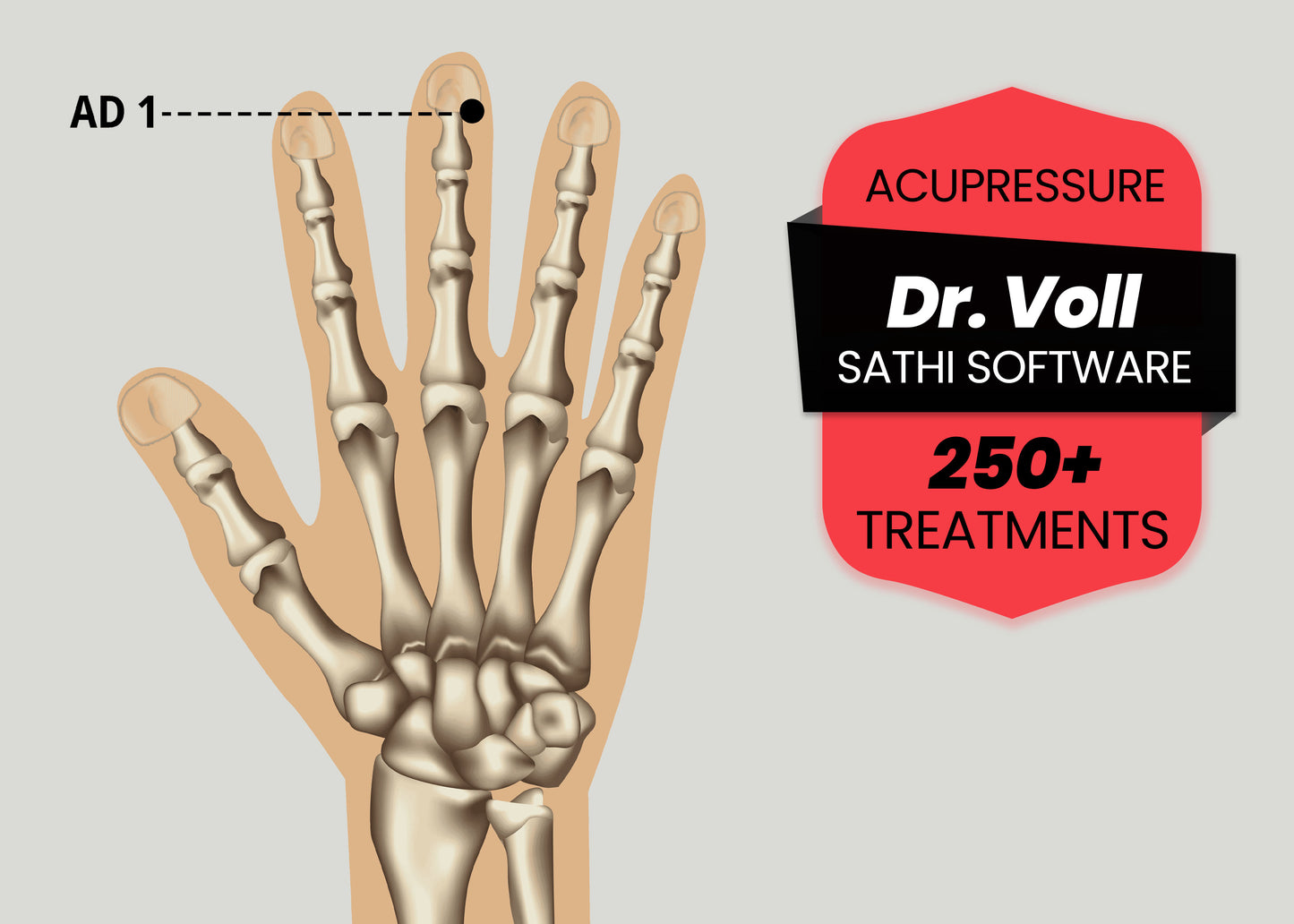 Acupressure Sathi Software (1 Year)