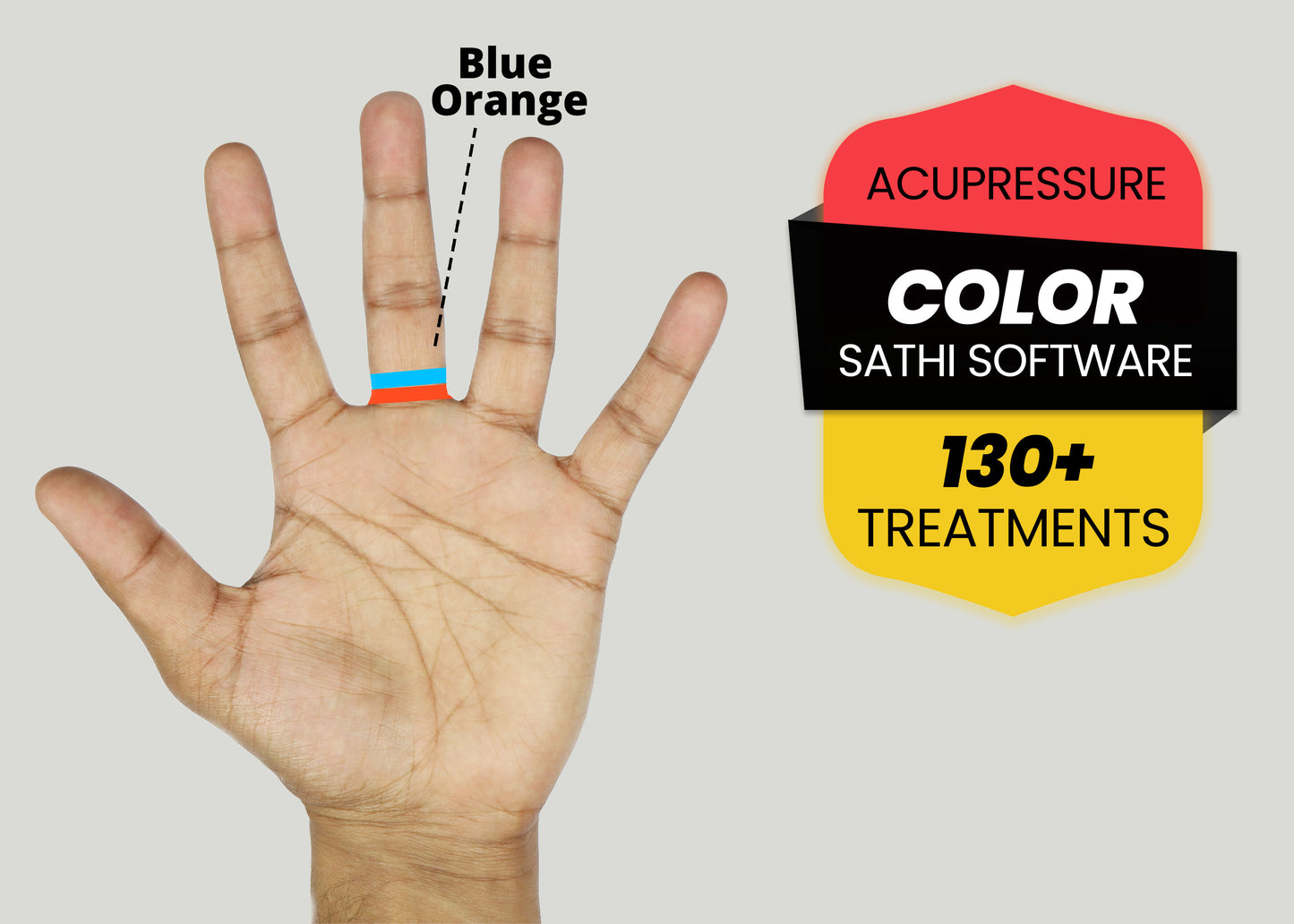 Complete Color Therapy COMBO (Book + Course + Software)
